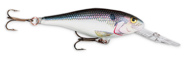 Rapala Shad Rap 2 3/16 Shad
