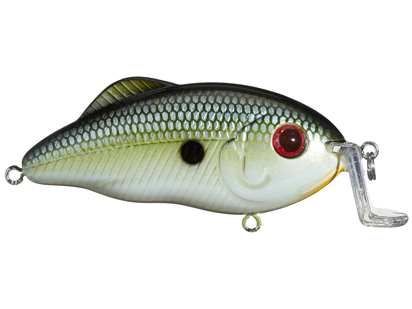 Strike King Hybrid Hunter Shallow 1/2oz <br>1-3ft Muh Knee Shad
