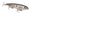 Strike King KVD Sexy Dawg 4.5in 7/8oz Green Gizzard Shad