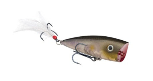 Strike King KVD Splash 2.75in 3/8oz Clearwater Minnow
