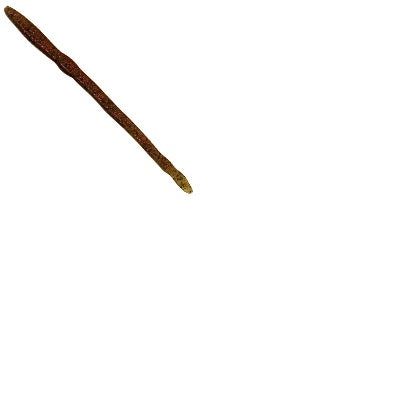 Creme Scoundrel 6 20ct Watermelon Red