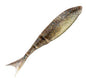 Z-MAN Razor ShadZ 4.5in Breaking Bream 4pk