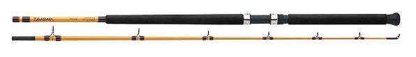 Daiwa FT Surf Spinning Rod 11 2pc M