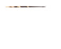 H&H Porqupine Quills 8 12ct