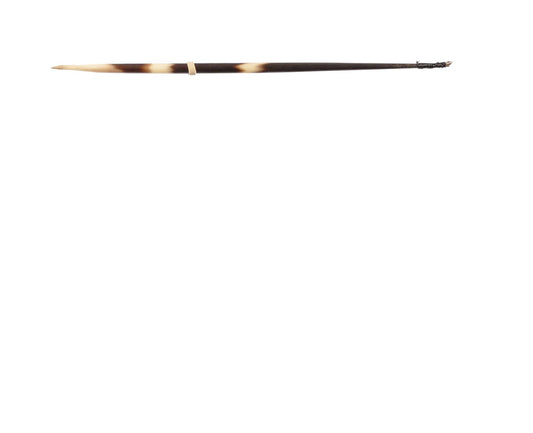 H&H Porqupine Quills 9in 12ct