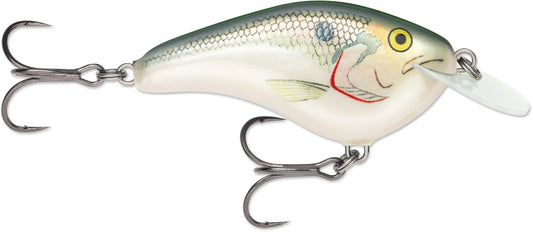 Rapala Ott Garage Slim 6 1/2 2.75 Shad