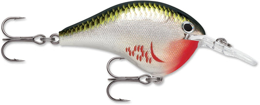 Rapala DT Series 6 3/8 2 Bleeding Olive Shiner