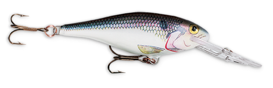 Rapala Shad Rap 2 3/4 1/4 Shad