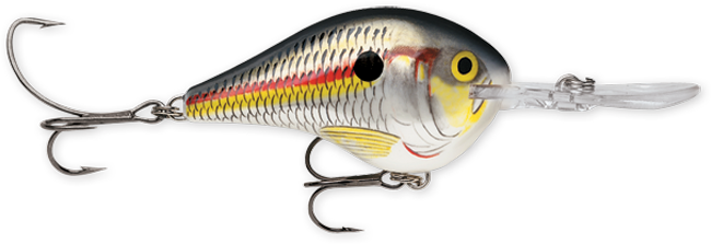 Rapala DT Series 10 3/5oz 2.25in Shad