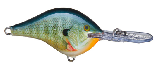 Rapala DT Series 3/8 2 Bluegill