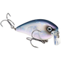 Strike King Series KVD Series Wait Bait 2.5 3/8 oz. Pro Blue
