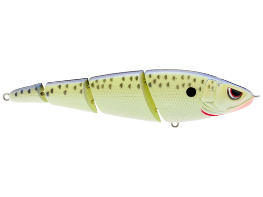 Spro SaShimmy Swimmer 125 5in 3/4oz Cell Mate