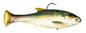 Z-MAN Shadtron LT6in. Fast Sink Blueback Herring